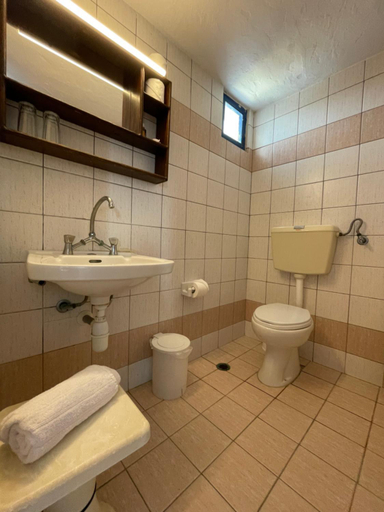 Bathroom 4, Arolithos Traditional Cretan Village Hotel, Crete