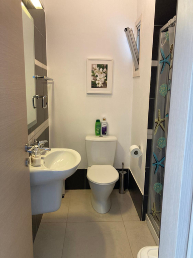 Bathroom 2, Trident Beach Apartment