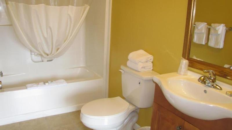 Bathroom 5, Lake View Inn, Warren