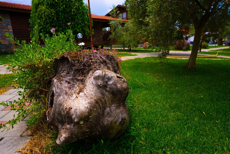 Others 5, Defne Olive Gardens Hotel Fethiye, Fethiye