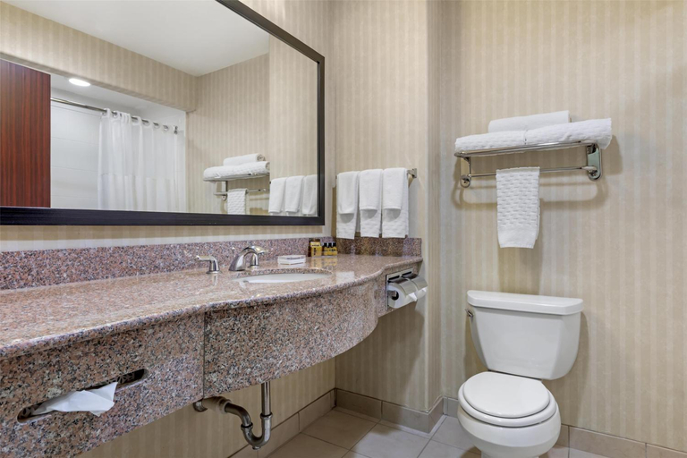 Bathroom 4, Best Western Plus Waxahachie Inn & Suites, Ellis