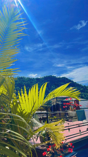 Others 3, Areal House Tam Đảo , Tam Dao
