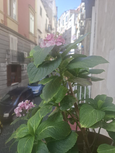 Exterior & Views, Monart Hospitality Capodimonte, Napoli