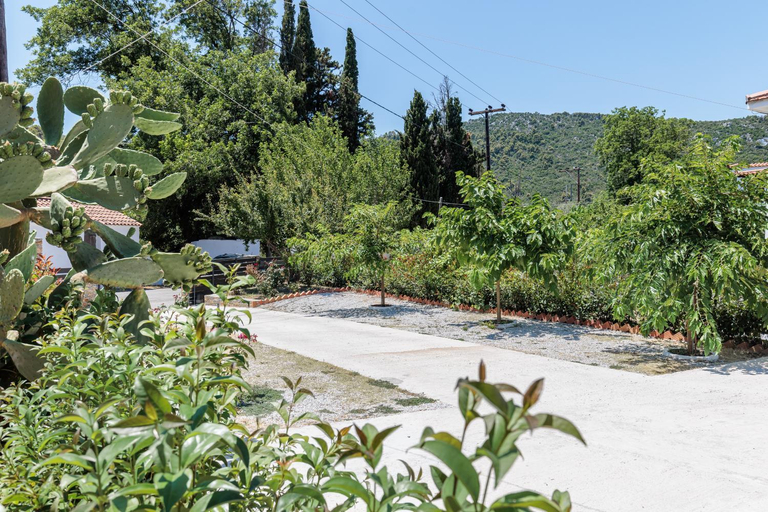 Others 5, Aelia Studios, Thessaly