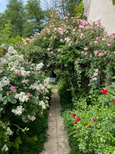 Others 4, Il etait une fois un jardin, Yonne