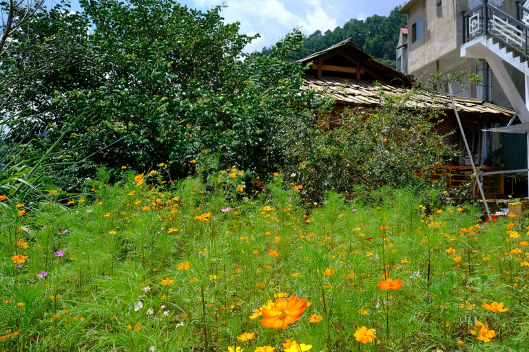 Exterior view 2, Chải Eco House, Mù Căng Trai