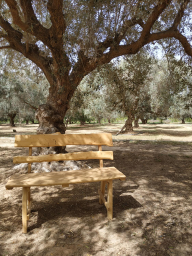 Others 5, Zina Resort Guesthouse & Camping, Mareth