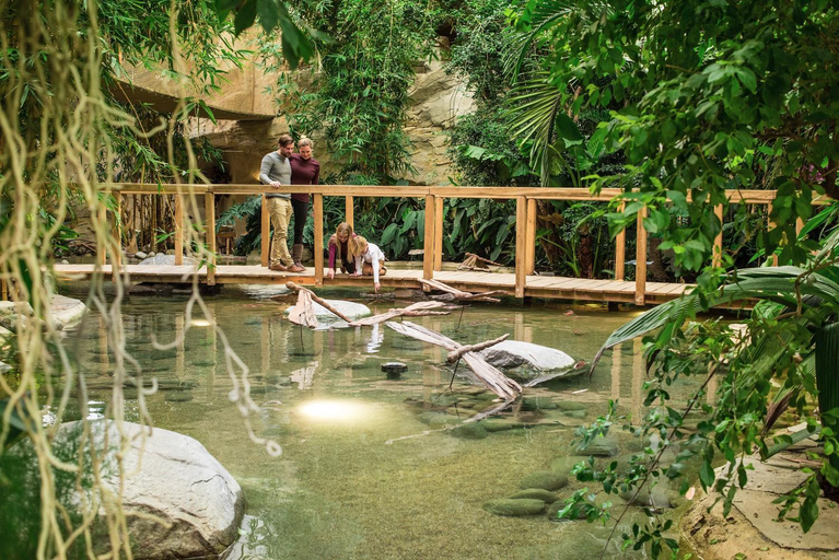 Public Area, Center Parcs Park Allgau, Ravensburg