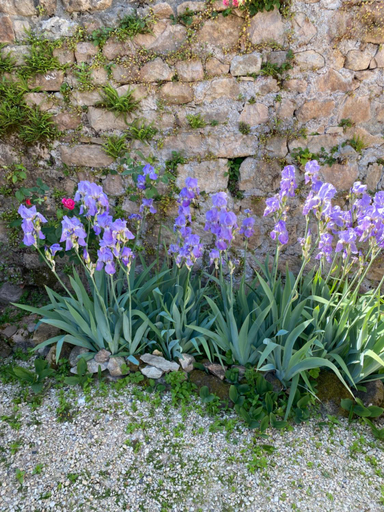 Others 4, Ferme Fleurie, Saône-et-Loire