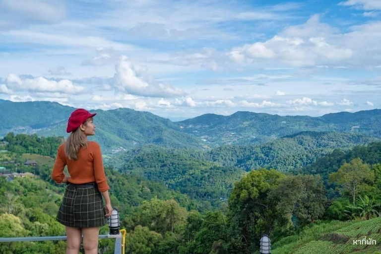 Others 5, Achang Camp, Mae Rim