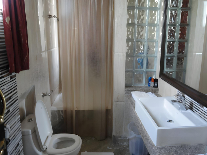 Bathroom, Green Acre Hotel, Srinagar