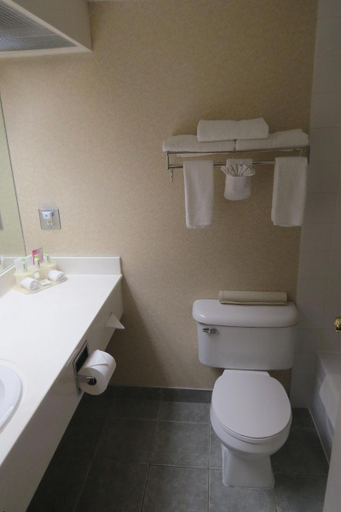 Bathroom 4, Rocky Inn Express, Division No. 9