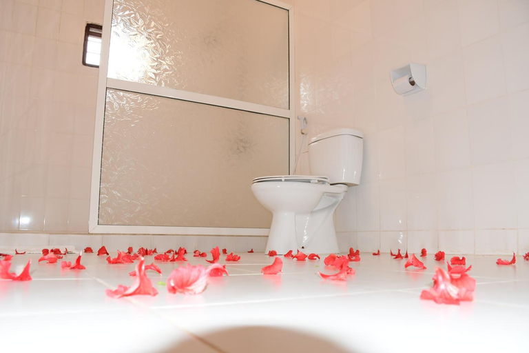 Bathroom, Anu soul paradise limite, Magharibi