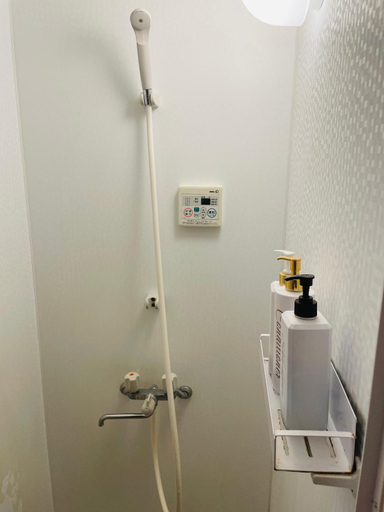 Bathroom 4, Lucky Hostel, Shinjuku