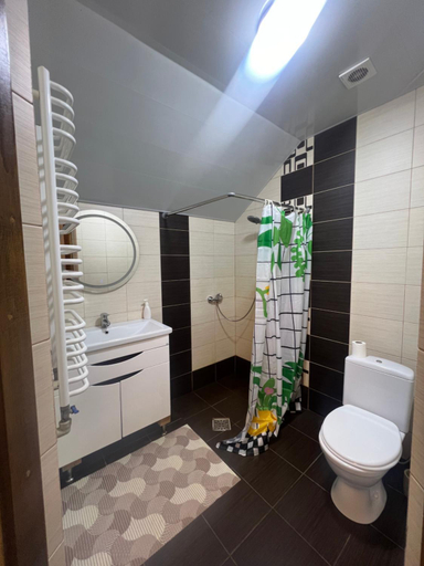 Bathroom 3, Cisarska sadyba, Shats'kyi
