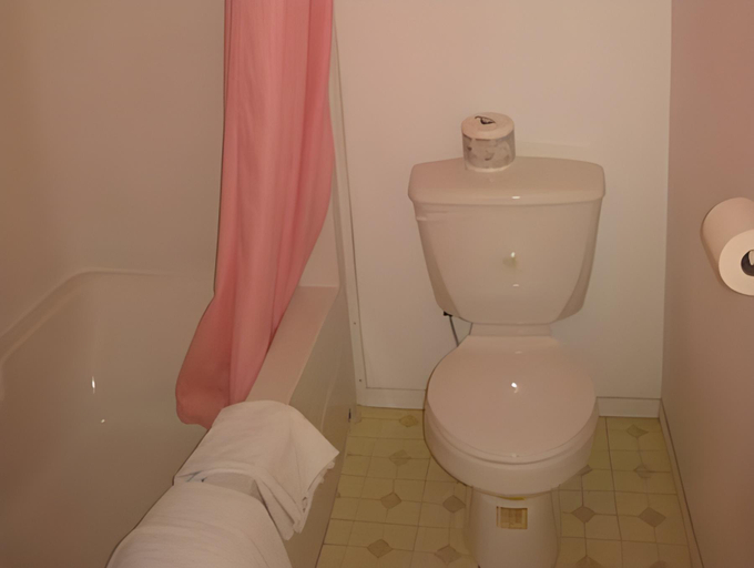 Bathroom, Motel 99, Kootenay Boundary