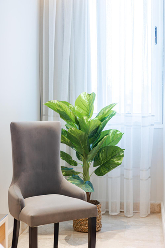 Others 3, Elegance Tower, Ad-Duqi