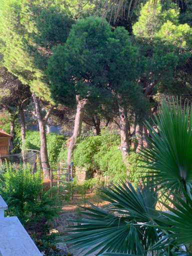 Others 4, B&B Madreperla, Lecce