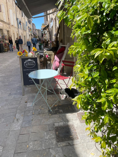 Others 4, Logement clim et patio centre remparts, Gard