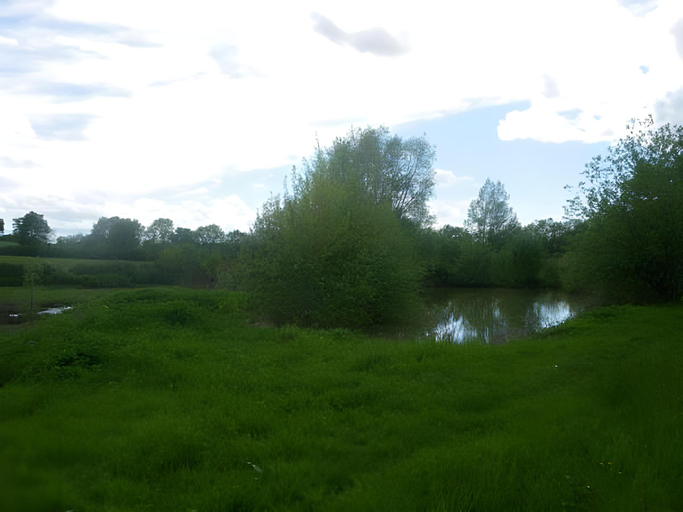 Others 4, Domaine du Vieux Gaval, Allier