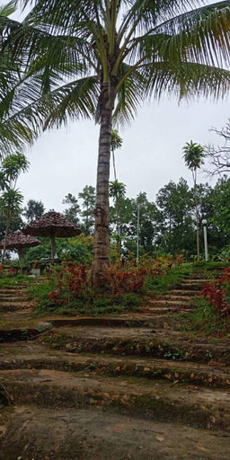 Others 4, Phuchandang Resort, Khun Yuam
