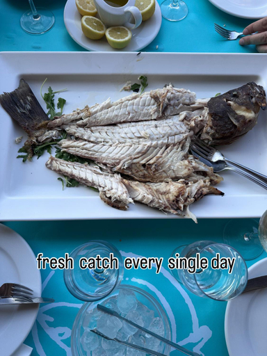Food & Drinks, NEPTUNE OASIS Villa, North Aegean