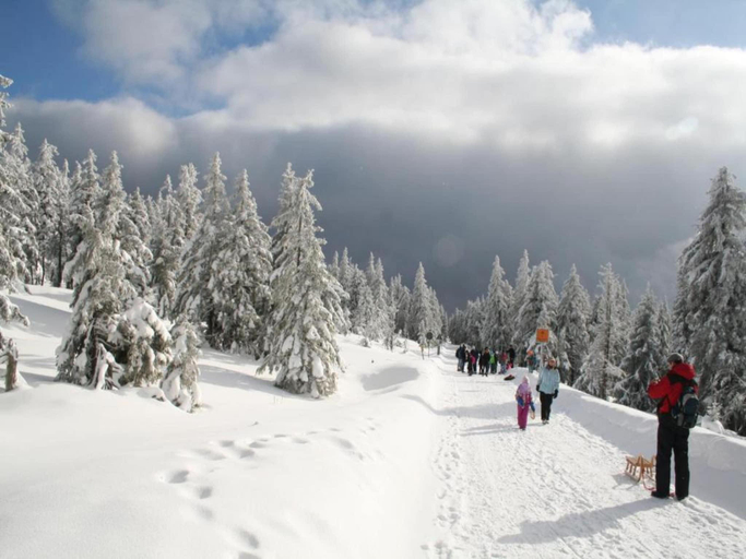 Others 5, Ferienhaus mit Wellnessbereich in Elend, Harz