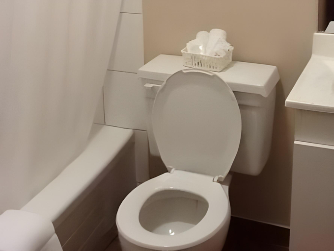 Bathroom 2, Motel Du Parc, Gatineau, Communauté-Urbaine-de-l'Outaouais
