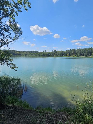 Others 4, Lesna Parteczyny, Nowe Miasto Lubawskie
