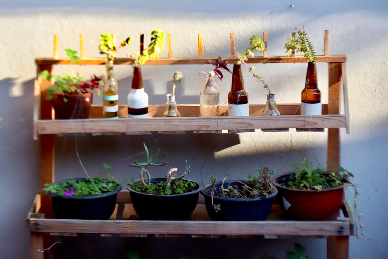 Food & Drinks 4, 13 Cielos Hostel & Coworking, San Cristóbal de las Casas