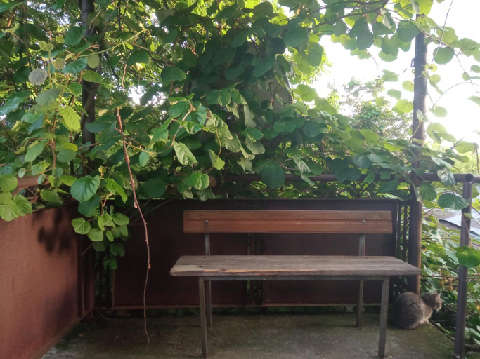 Others 3, one bedroom suite, Zugdidi