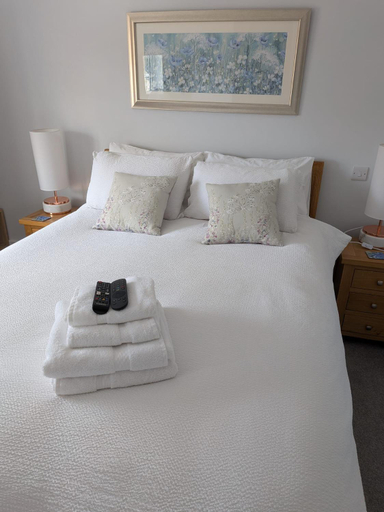 Bedroom, Romsey Brewery House - circa 1893, Hampshire
