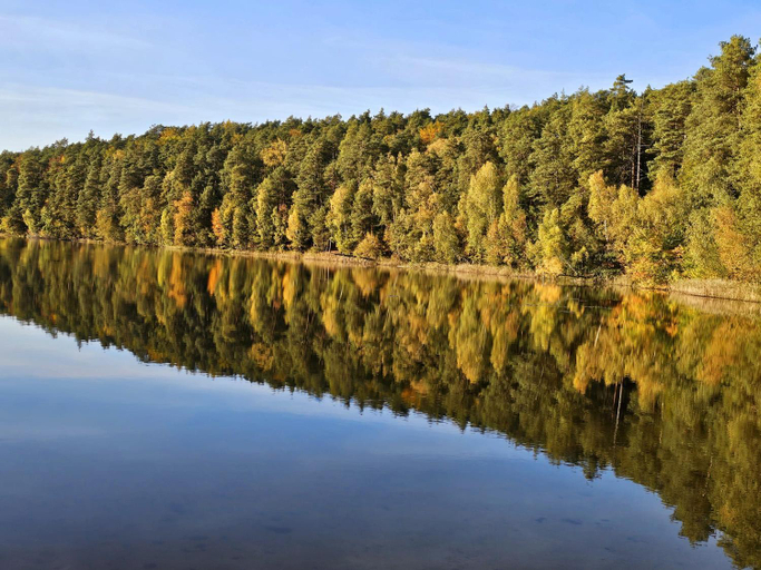 Others 2, Lesna Parteczyny, Nowe Miasto Lubawskie
