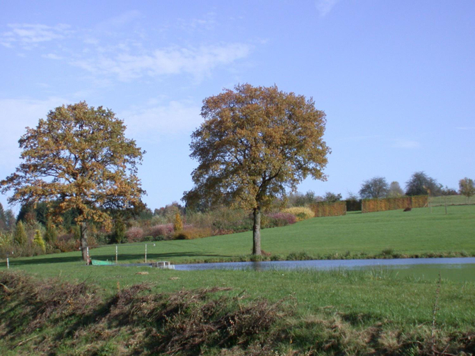 Others 5, Holiday Home in Florenville with Garden, Luxembourg
