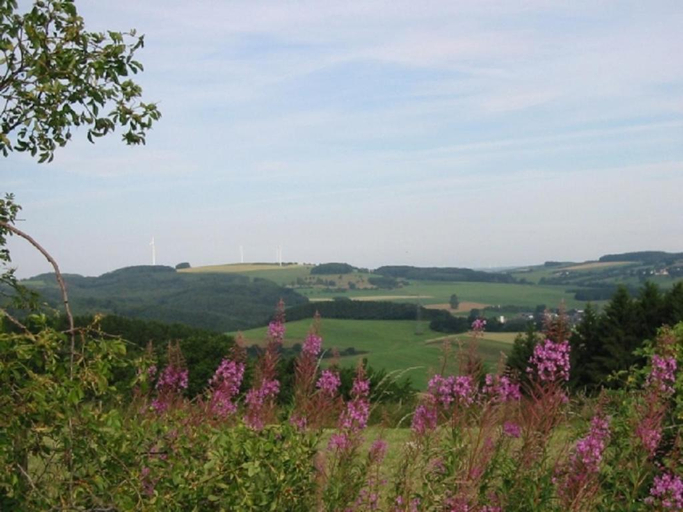 Others 5, Haus 1 - Typ C (kombiniert), Eifelkreis Bitburg-Prüm