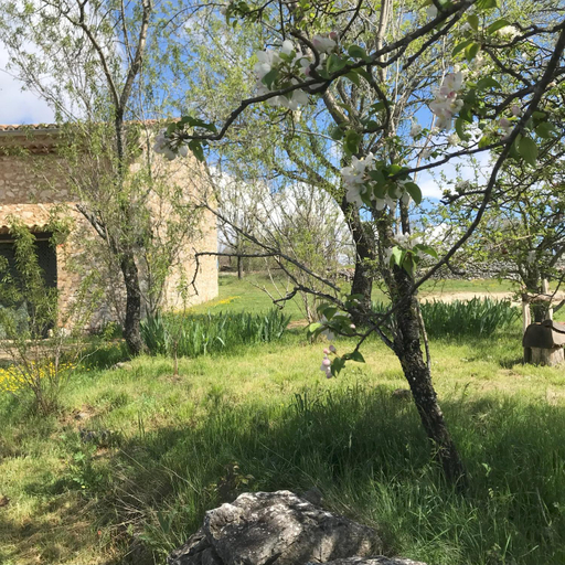 Others 3, Le Mas de Loume, Vaucluse