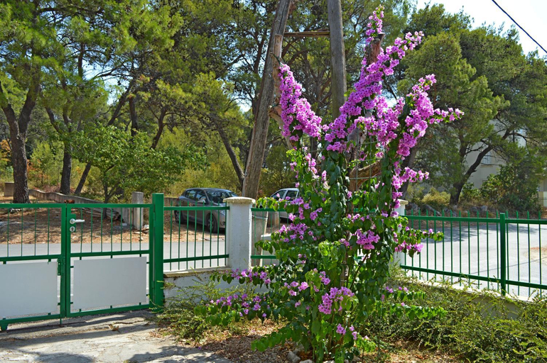 Others 3, Apartment and Rooms Katica, Biograd na Moru