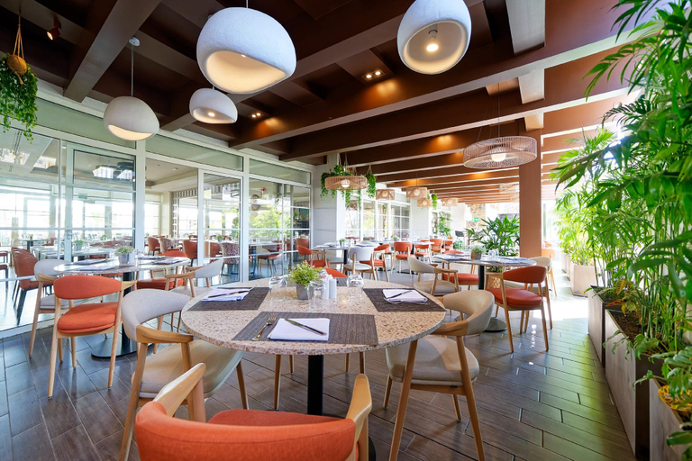 Food & Drinks 4, Sol Barbacan, Las Palmas