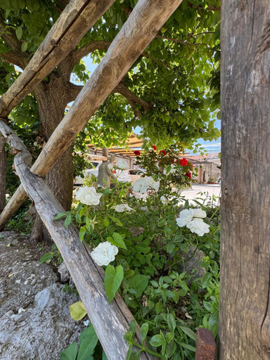 Others 4, Acunto's Homes, Napoli