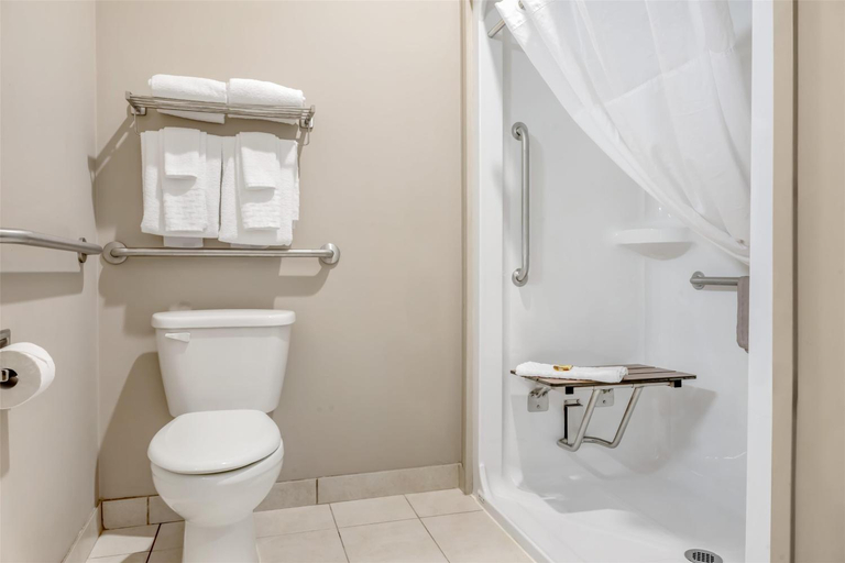 Bathroom 3, Best Western Plus Bridgewater Hotel & Convention Centre, Lunenburg