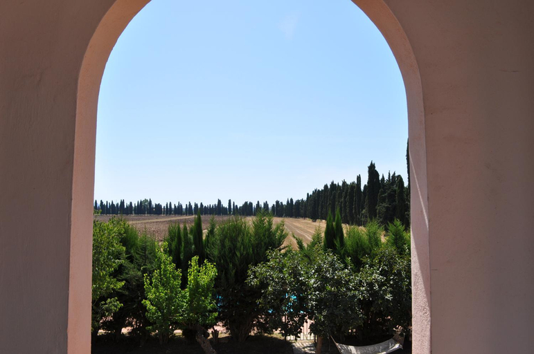 Others 5, Agriturismo Morisfarms - Podere Cancelloni, Grosseto