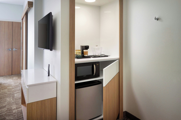 Others 4, Springhill Suites By Marriott Ellijay, Gilmer
