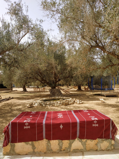 Others 2, Zina Resort Guesthouse & Camping, Mareth