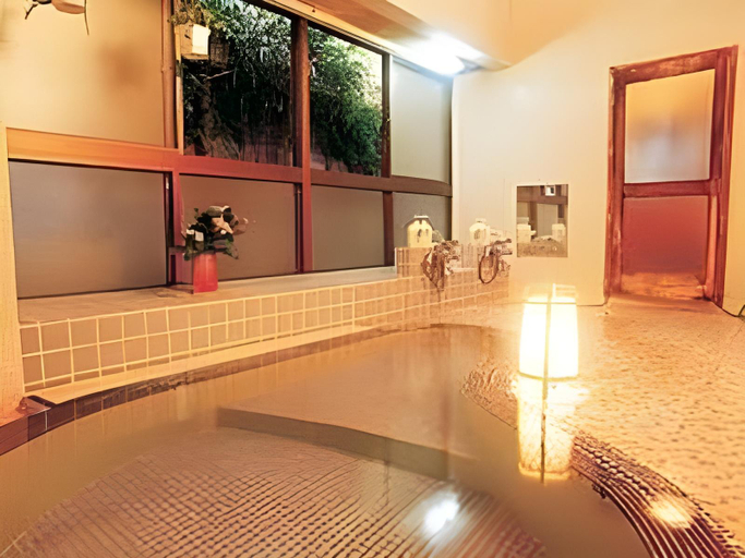 Spa, Oumiya Ryokan Hotel, Hakone