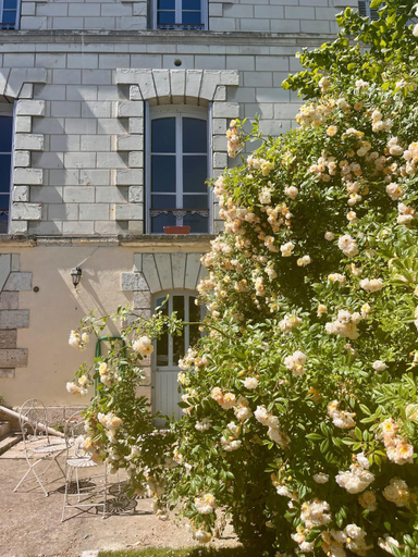 Garden 2, Maison Adrienne, Loir-et-Cher