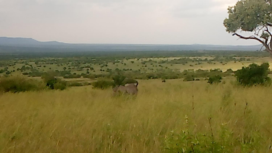 Others 1, SEMADEP SAFARI CAMP, Narok West