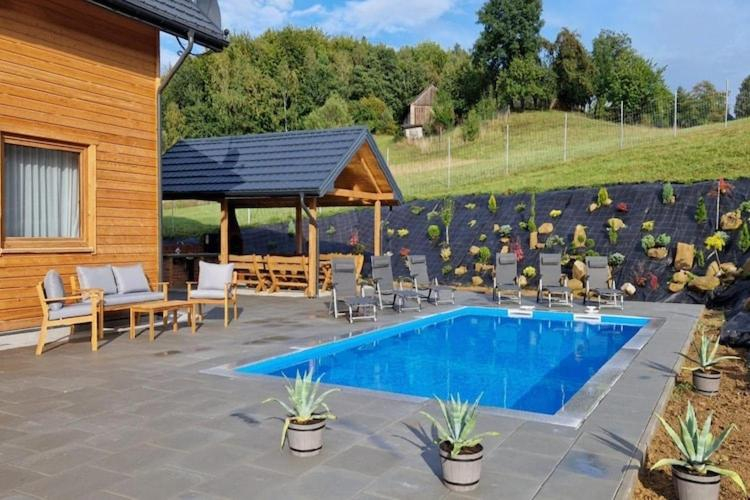 Sport & Beauty 2, Holiday Home in Wisniowa with Pool and Forest, Strzyżów