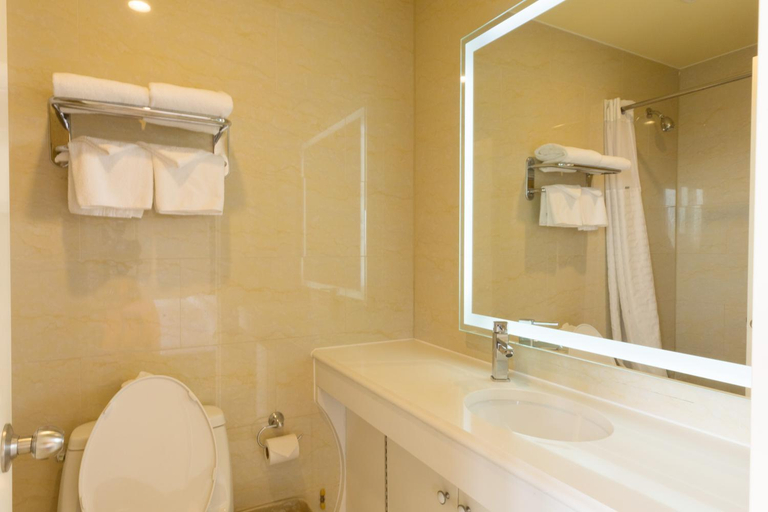 Bathroom 4, Romana Hotel - NYC, New York