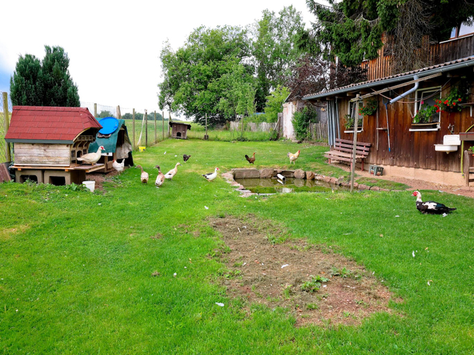Others 5, Wohnung in Lauterbach nahe Skipisten, Ortenaukreis