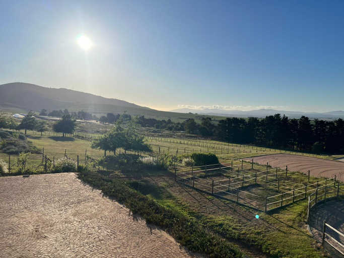 Others 5, World of Horses Stables, Cape Winelands